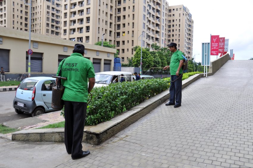Pest Control Services